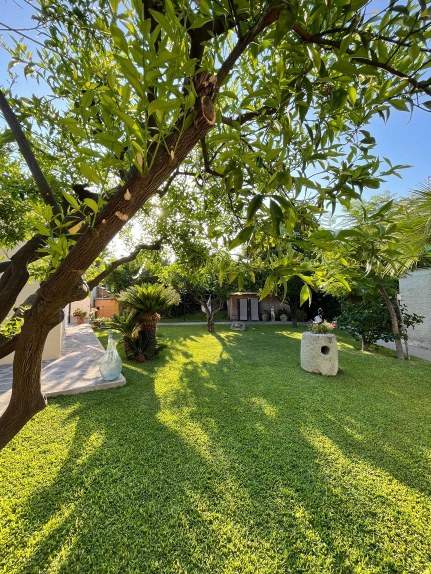 Garden Apartments Ischia Super Centrale Forio di Ischia 외부 사진